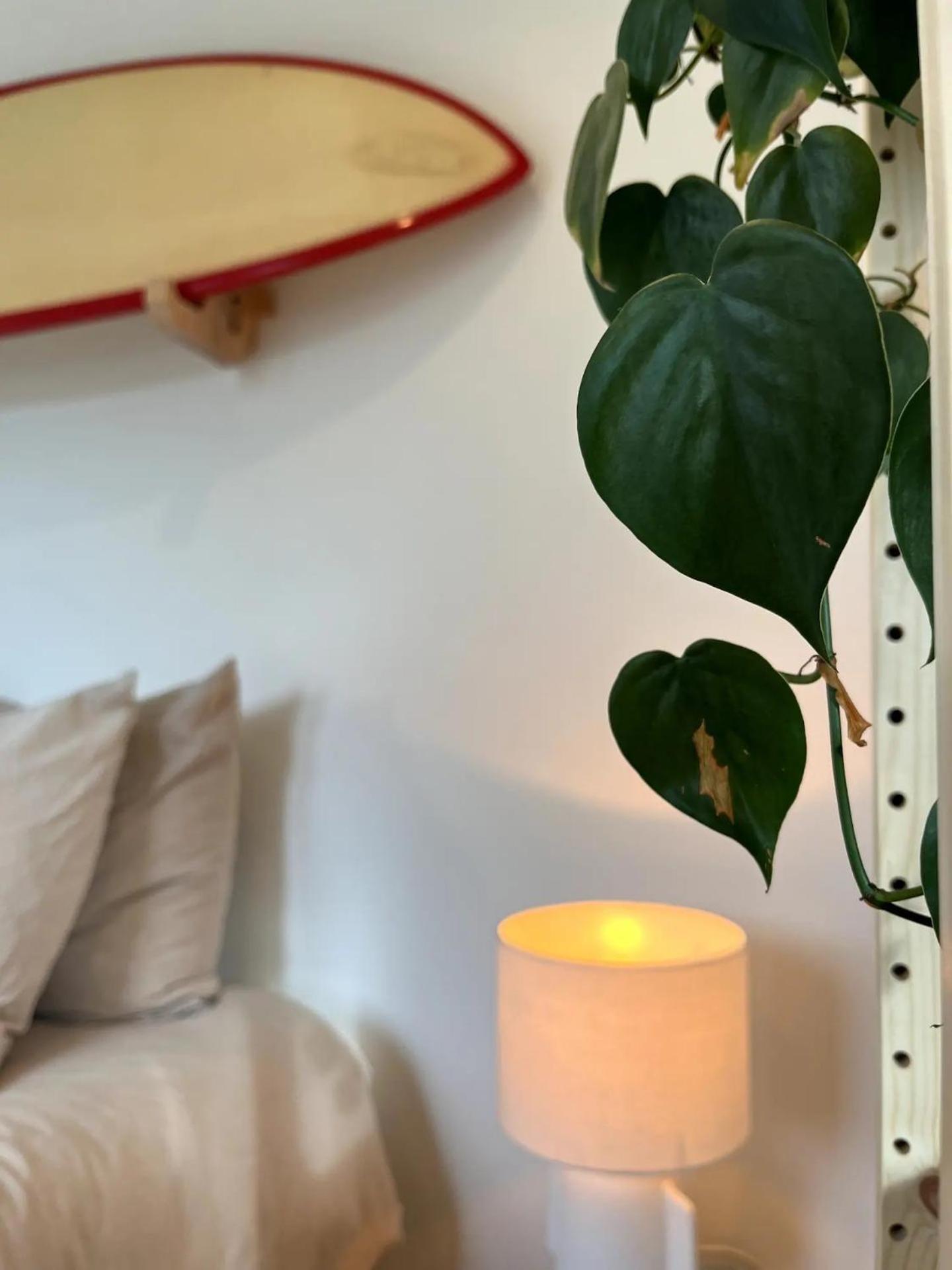 Boja Beach House Zandvoort Ngoại thất bức ảnh